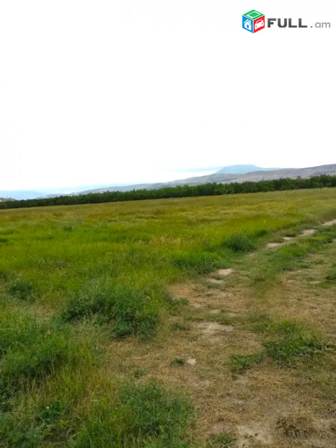 Նոր Հաճն համայնքի Նոր գեղի գյուղում վաճառվում է գյուղատնտեսական նշանակության հողատարածք For sale C1706
