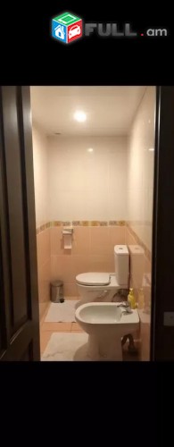 Vardzov e trvum 4 senyakanoc bnakaran Davitashenum