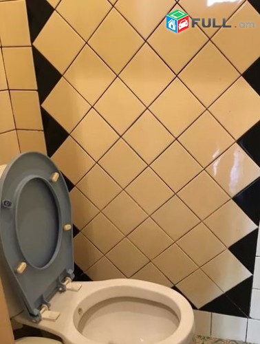 Vardzov e trvum 4 senyakanoc bnakaran Shengavit metroi harevanutyamb