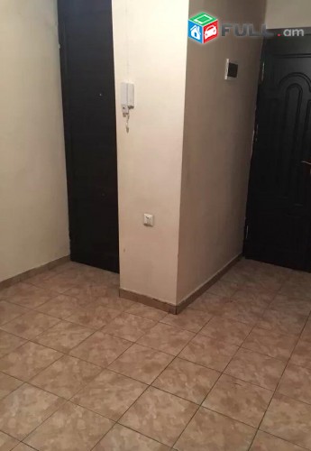 Vardzov e trvum 3 senyaknoc bnakaran Kayaranum 