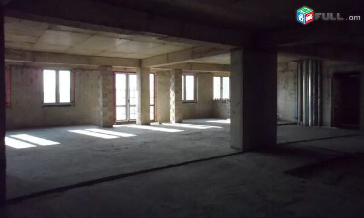 290 qm bnakaran Moskovyan plazayum, aranc veranorogman