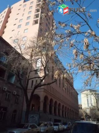 290 qm bnakaran Moskovyan plazayum, aranc veranorogman