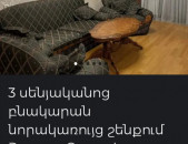 Կապիտալ վերանորոգված բնակարան 