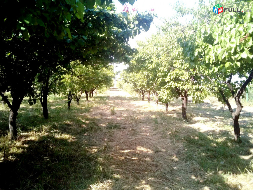 Այգի Ջրվեժում 1810 ք/մ. TG053