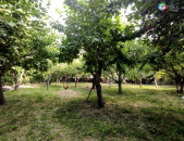 Տնամերձ հողատարածք Ձորաղբյուրում 2350ք. DZ395