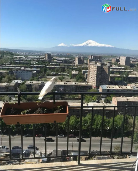 LA11811 Վարձով 2 սենյականոց բնակարան  Ֆուչիկի փողոց, նորակառույց շենքում