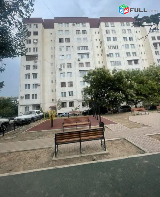 կօդ 8155