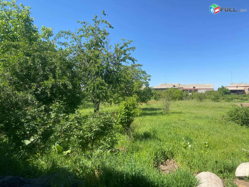ԿՕԴ 8378/ ԱՐԱՄՈՒՍ ԳՅՈՒՂ /Ս/Տ
