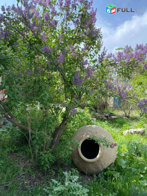 ԿՕԴ 8378/ ԱՐԱՄՈՒՍ ԳՅՈՒՂ /Ս/Տ