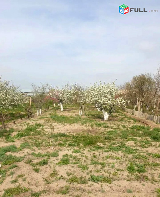 ԿՕԴ 8422/ ԱՐԱՐԱՏ 
