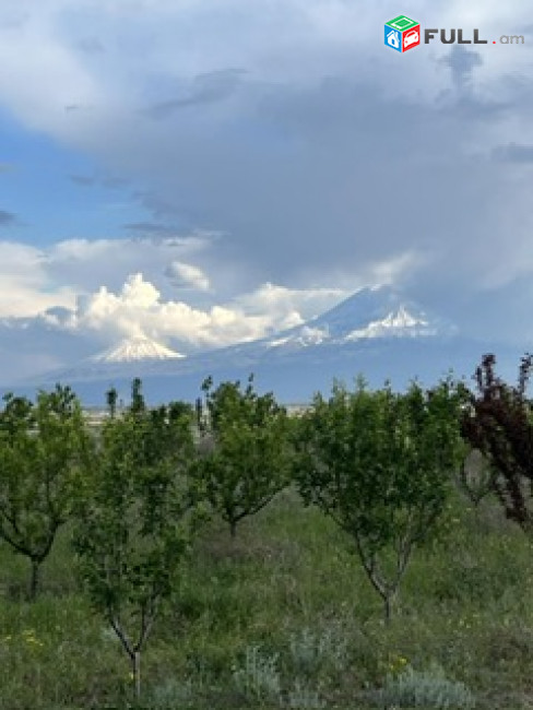 Գյուղատնտեսական