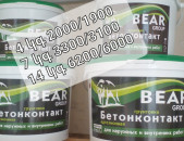 BEAR GROUP