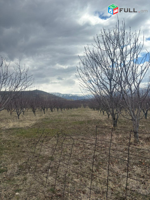 Հողատարածք Գառնի գյուղ չհասած ճանապարհին