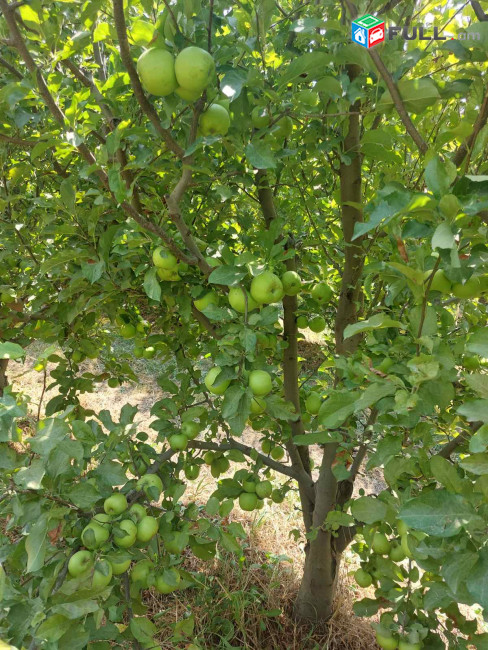 Հողատարածք