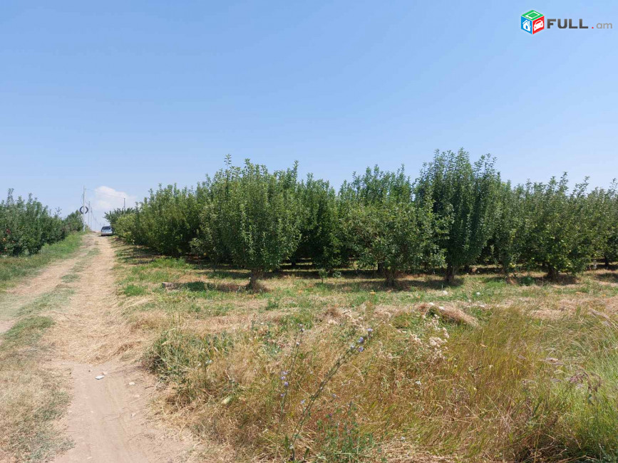 Հողատարածք