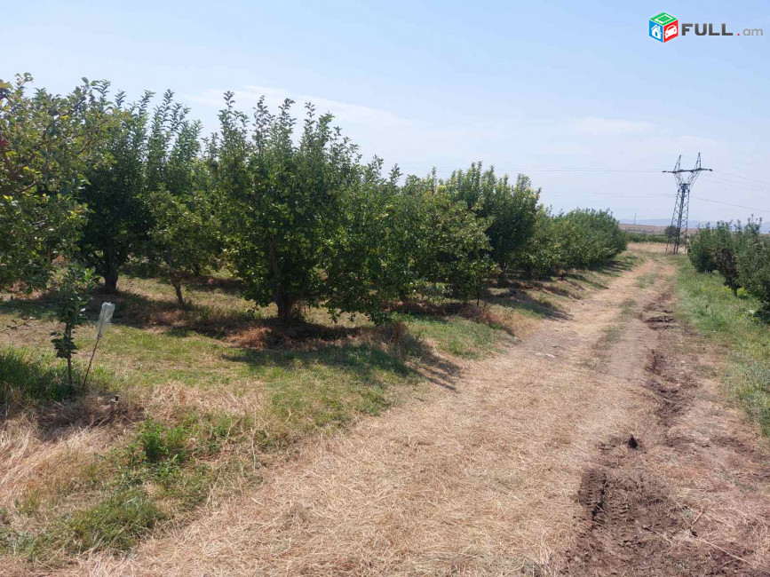 Հողատարածք