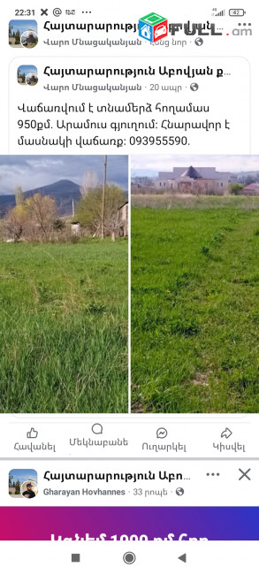 Տնամերձ 