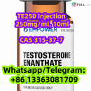 TE Injection 10ML x 250 MG/ML/Vial CAS 315-37-7 Testosterone enanthate