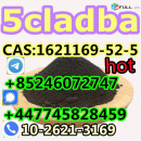 5CL-ADB powder 5cl adb 5CL 5cladba 5cl raw materia,