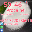 high purity cas 59-46-1 Procaine powder Procaine base ship worldwide