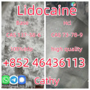 Manufacturer Supply Raw Material CAS 137-58-6 Lidocaine