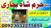 amil baba aamil baba astrologer taweez kala jadu uk