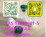 High quality cas 12629-01-5 HGH 191AA(Somatropin on sale 