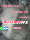 Cas 51-05-8 Procaine Hydrochloride Top Quality