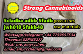 Strong noids adbb 5cladba 5fadb precursors raw materials for sale reliable supplier wickr: amyrcchem