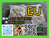 Wholesale Eu In Best Price