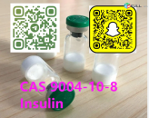 High quality cas 9004-10-8  Insulin  in stock 