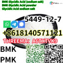 Buy BMK Glycidic Acid (sodium salt) CAS 5449-12-7 hot in Netherlands/UK/Poland/Europe