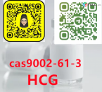 9002-61-3 HCG