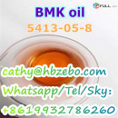 Best Selling Product BMK oil CAS 5413-05-8