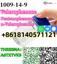 recruit cas 1009-14-9 Valerophenone