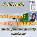 High quality cas  Follistatin  in stock 