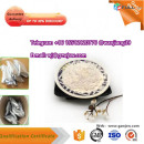 wj@gzwjsw.com CAS:33887-02-4 clonazolam Bromazolam 71368-80-4 telegram @rcfactory39