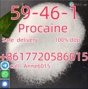 Procaine /procaine Base Cas 59-46-1 Free Sample Fast Delivery