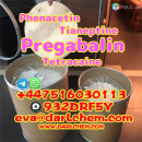 Hot Sell pregabalin powder with CAS 148553-50-8