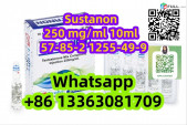 Sustanon 250mg/ml Steriod OIL Injection CAS 57-85-2 1255-49-9