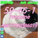 Procaine manufacturer supply CAS 59-46-1 Procaine hcl powder with China factory price +8617720586015