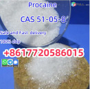 High Quality 99% Pure Procaine Powder Procaina Em Po Polvo No Customs Issues Procain Wholesale Factory Price CAS 51-05-8 Tetracaine Lidocaine