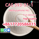 CAS 593-51-1 Methylamine Hydrochloride