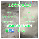 Manufacturer Supply Raw Material CAS 137-58-6 Lidocaine