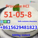 99.9% Procaine HCl Procaine HCl CAS 51-05-8 Best price