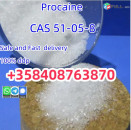 procaine powder Supply Procaine Hydrochloride / Procaine HCl Supplier CAS 51-05-8 for Local Anesthetic