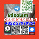 Etizolam  CAS:40054-69-1+852 57979957