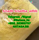 Chemical strongest adbb 5cladba precursor raw material 5f adb